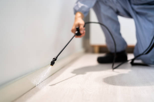 Licensed Mosquito Control service in Hillsborough, NC - Show Me Pest Control