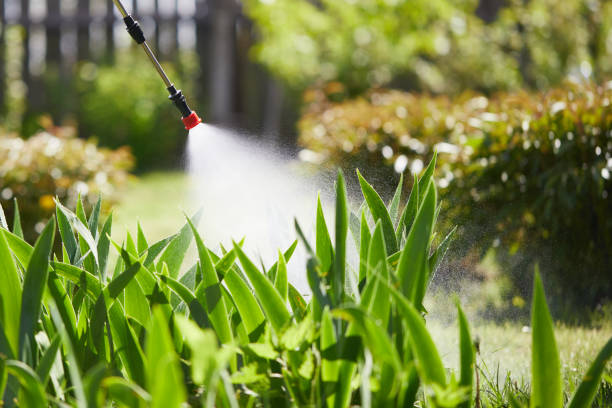 24/7 Emergency Mosquito Control experts in Hillsborough, NC
