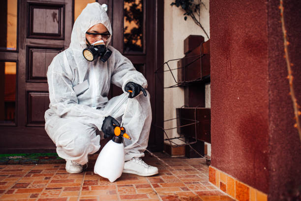 Reliable Mosquito Control contractor in Hillsborough, NC by Show Me Pest Control